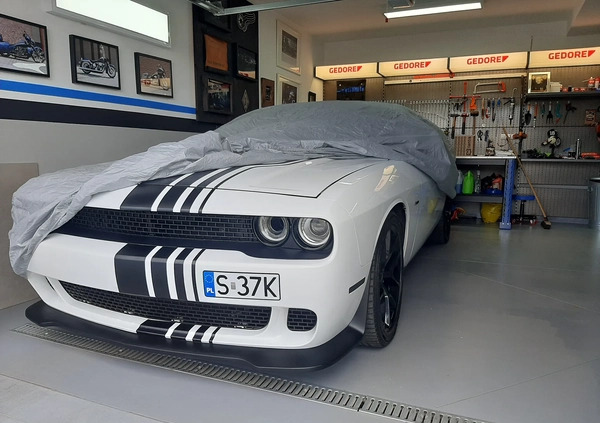 Dodge Challenger cena 164000 przebieg: 48000, rok produkcji 2019 z Katowice małe 781